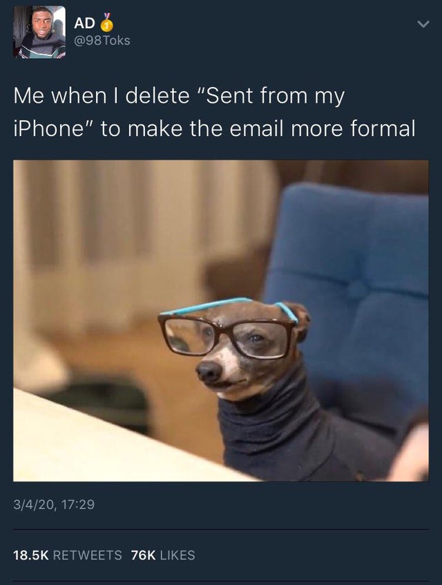 me being a dumb bitch - Ad Toks Me when I delete "Sent from my iPhone" to make the email more formal 3420, 76K