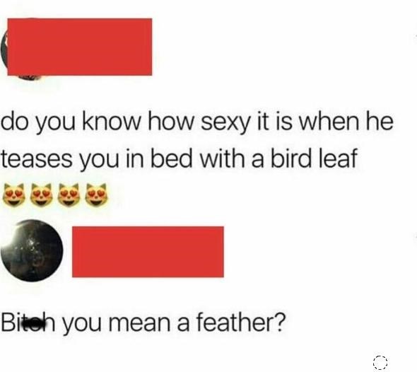 diagram - do you know how sexy it is when he teases you in bed with a bird leaf Bitch you mean a feather?