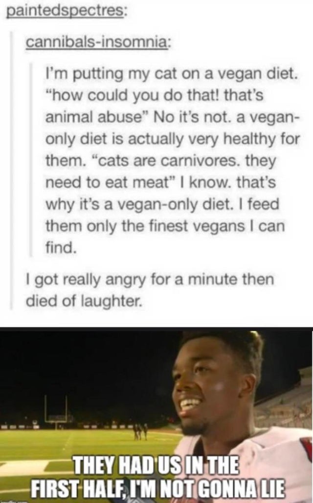 male - paintedspectres cannibalsinsomnia I'm putting my cat on a vegan diet. "how could you do that! that's animal abuse" No it's not. a vegan only diet is actually very healthy for them. "cats are carnivores, they need to eat meat" I know, that's why it'