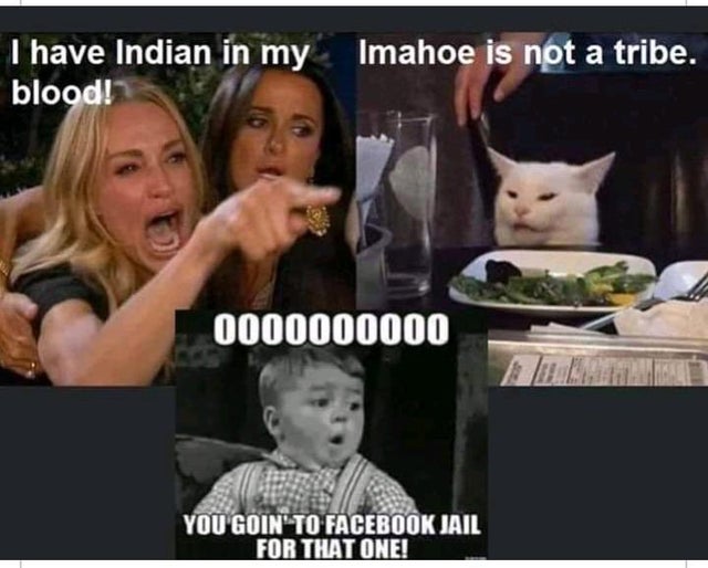 cirque du soleil meme - Imahoe is not a tribe. T have Indian in my blood! 0000000000 You Goin' To Facebook Jail For That One!