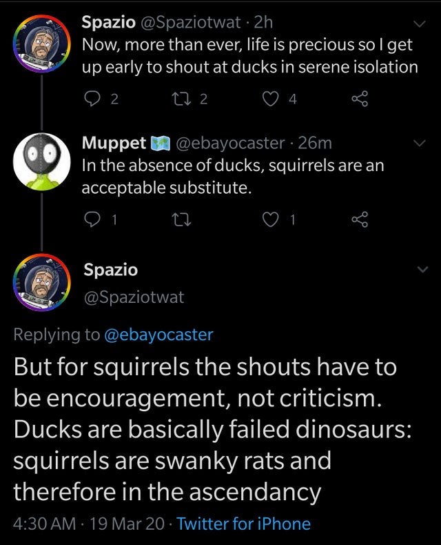 screenshot - Spazio 2h Now, more than ever, life is precious sol get, up early to shout at ducks in serene isolation 02 272 4 8 Muppet 26m In the absence of ducks, squirrels are an acceptable substitute. Q1 22 1 Spazio But for squirrels the shouts have to
