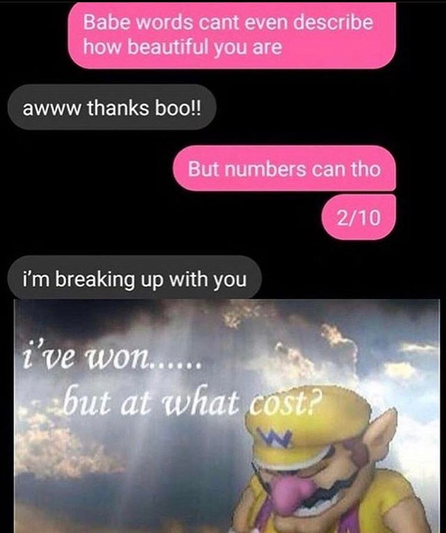 ve won but at what cost dank meme - Babe words cant even describe how beautiful you are awww thanks boo!! But numbers can tho 210 i'm breaking up with you i've won...... but at what cost?