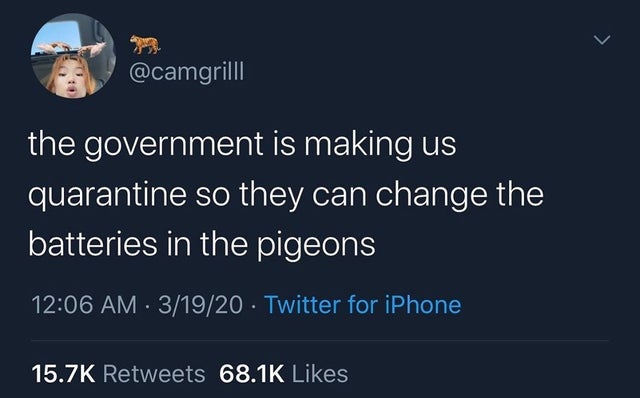 presentation - the government is making us quarantine so they can change the batteries in the pigeons