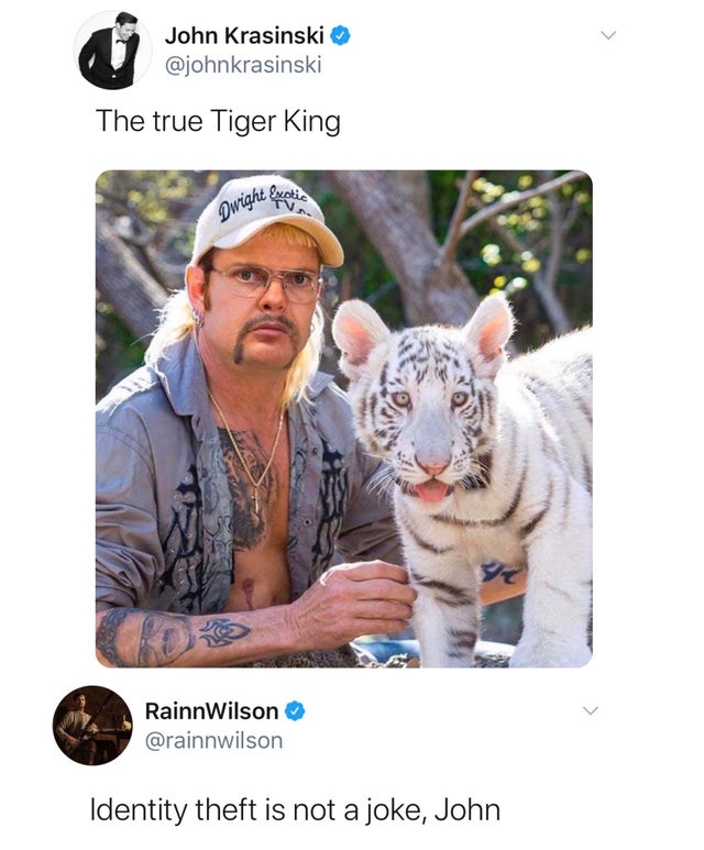 tiger king - John Krasinski The true Tiger King owight notic Rainn Wilson Identity theft is not a joke, John