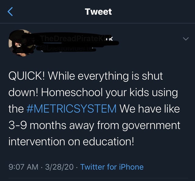 screenshot - Tweet The DreadPiratek ik Quick! While everything is shut down! Homeschool your kids using the We have 39 months away from government intervention on education! 32820 Twitter for iPhone