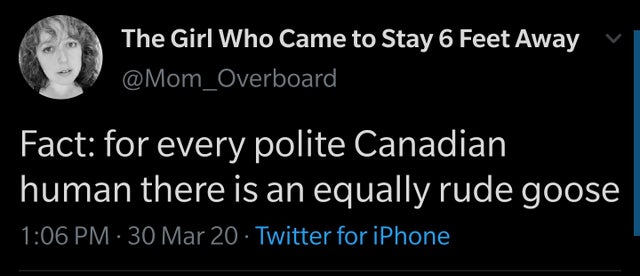 iphone - The Girl Who Came to Stay 6 Feet Away Fact for every polite Canadian human there is an equally rude goose 30 Mar 20 Twitter for iPhone