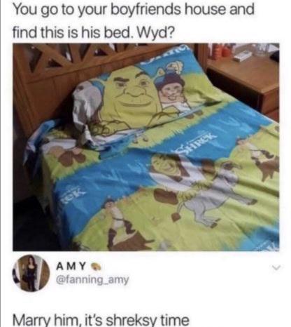 its shreksy time - You go to your boyfriends house and find this is his bed. Wyd? Amy amy Marry him, it's shreksy time