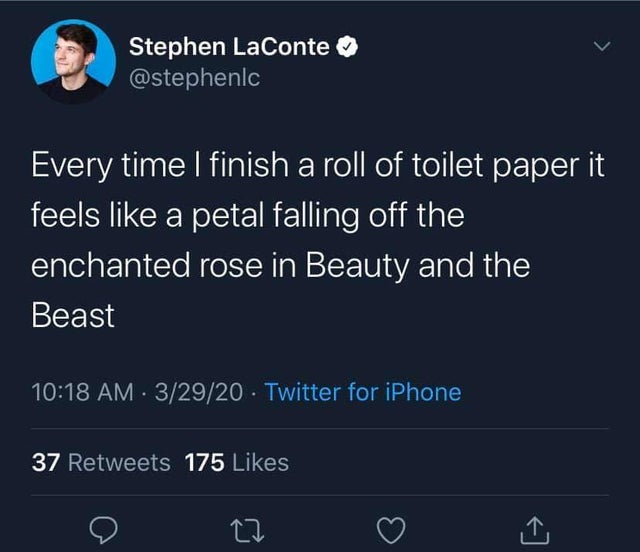 Every time I finish a roll of toilet paper it feels a petal falling off the enchanted rose in Beauty and the Beast