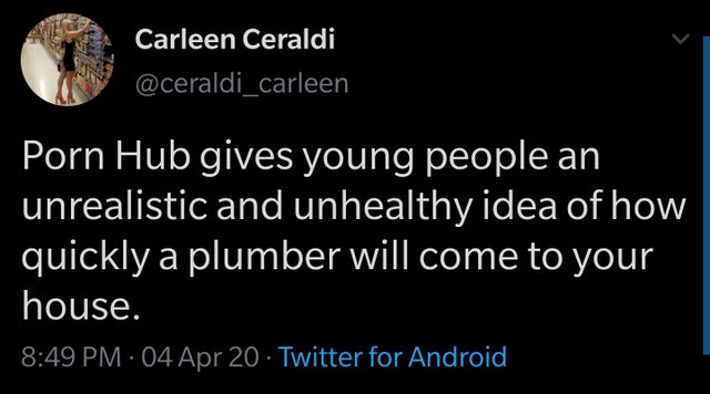 Porn Hub gives young people an unrealistic and unhealthy idea of how quickly a plumber will come to your house.
