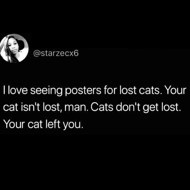 I love seeing posters for lost cats. Your cat isn't lost, man. Cats don't get lost. Your cat left you.