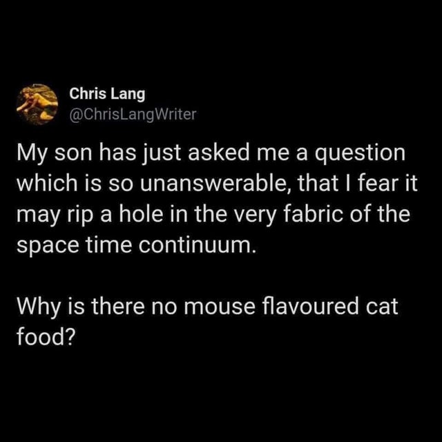 graphics - Chris Lang My son has just asked me a question which is so unanswerable, that I fear it may rip a hole in the very fabric of the space time continuum. Why is there no mouse flavoured cat food?