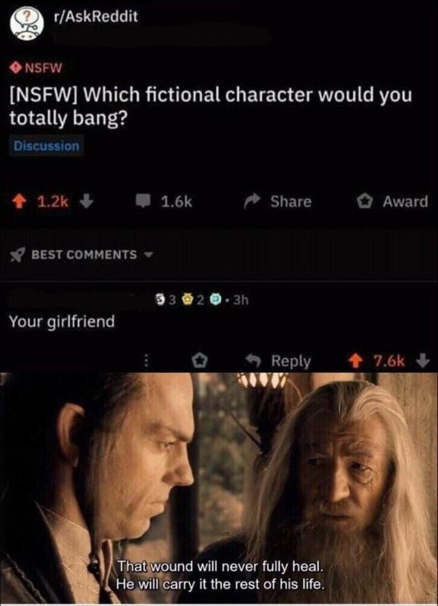 Which fictional character would you totally bang? - Your girlfriend - That wound will never fully heal. He will carry it the rest of his life. - Lord of the Rings meme