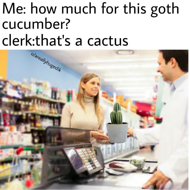 Me: how much for this goth cucumber? - clerk: that's a cactus