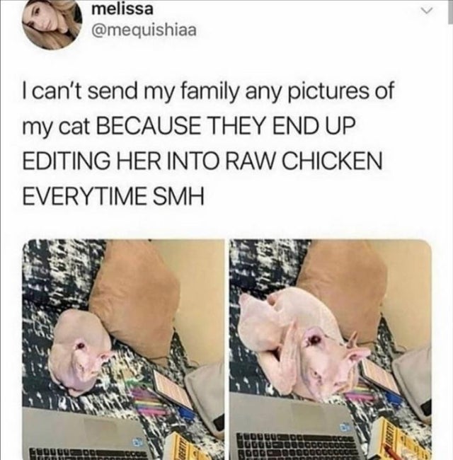 I can't send my family any pictures of my cat Because They End Up Editing Her Into Raw Chicken Every time Smh