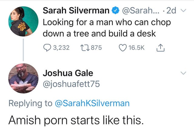 Sarah Silverman Looking for a man who can chop down a tree and build a desk - Amish porn starts like this.