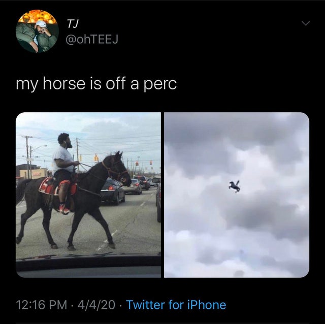 sky - Tj my horse is off a perc 4420 Twitter for iPhone