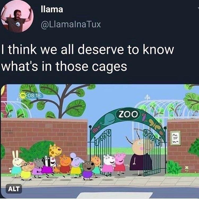 peppa pig zoo meme - llama Tux I think we all deserve to know what's in those cages m 005 Zoo {I13 Htu Alt