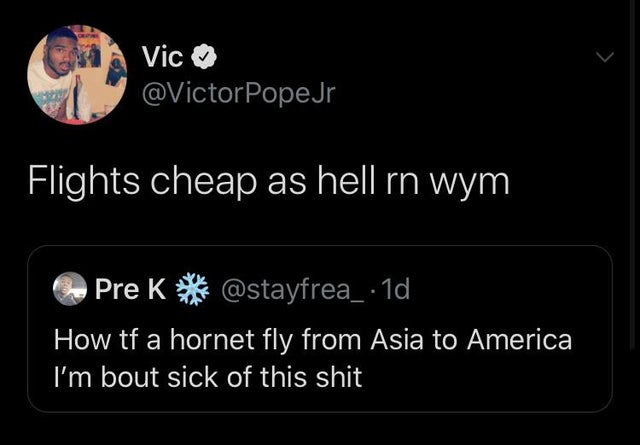 screenshot - Vic PopeJr Flights cheap as hell rn wym Pre Ko . 1d How tf a hornet fly from Asia to America I'm bout sick of this shit