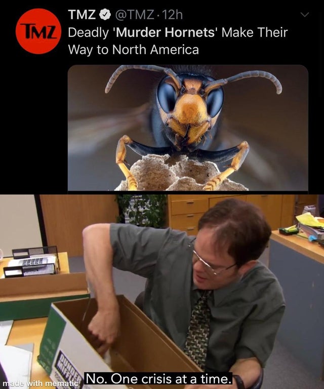 one crisis at a time - Tmz Tmz .12h Deadly 'Murder Hornets' Make Their Way to North America No. One crisis at a time. made with mematic