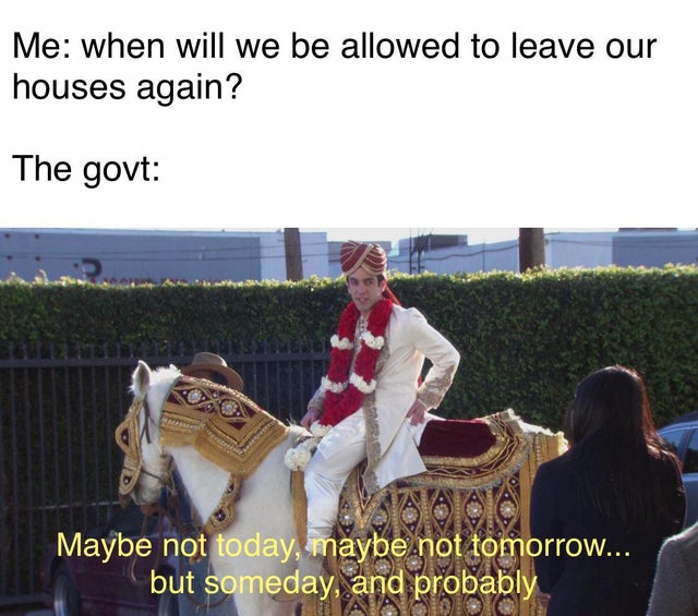 horse - Me when will we be allowed to leave our houses again? The govt Mood Es Vaata Maybe not today, maybe not tomorrow... but someday, and probably