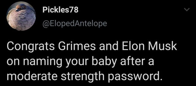 stereo love lyrics - Pickles 78 Congrats Grimes and Elon Musk on naming your baby after a moderate strength password.