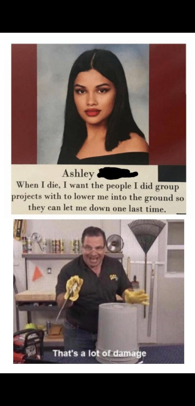 now that's a lot of damage - Ashley When I die, I want the people I did group projects with to lower me into the ground so they can let me down one last time. _ That's a lot of damage