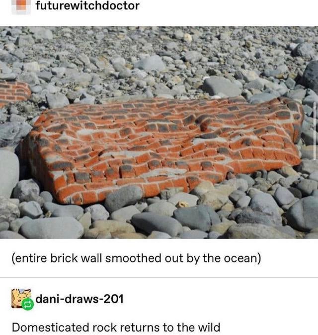 brick wall smoothed by the ocean - futurewitchdoctor entire brick wall smoothed out by the ocean danidraws201 Domesticated rock returns to the wild