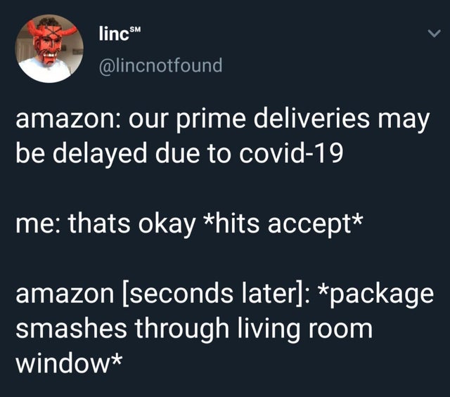 presentation - lincs amazon our prime deliveries may be delayed due to covid19 me thats okay hits accept amazon seconds later package smashes through living room window
