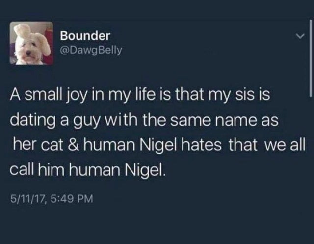screenshot - Bounder A small joy in my life is that my sis is dating a guy with the same name as her cat & human Nigel hates that we all call him human Nigel. 51117,