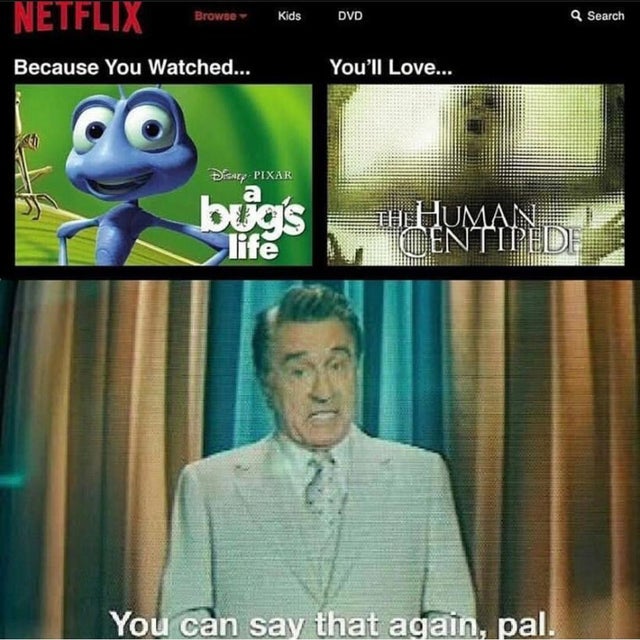 netflix recommendations meme - Netflix Browse Kids Dvd Q Search Because You Watched... You'll Love... Dry Pixar z bugs, Man An You can say that again, pal.