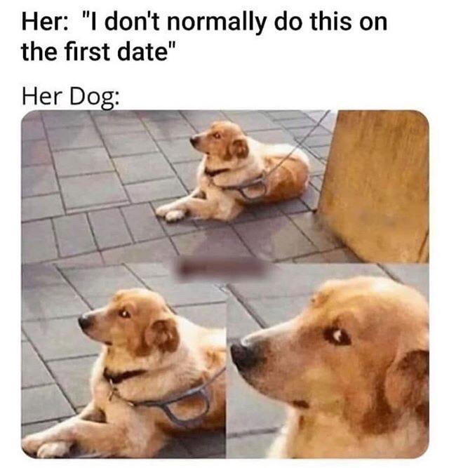 first date dog meme - Her "I don't normally do this on the first date" Her Dog