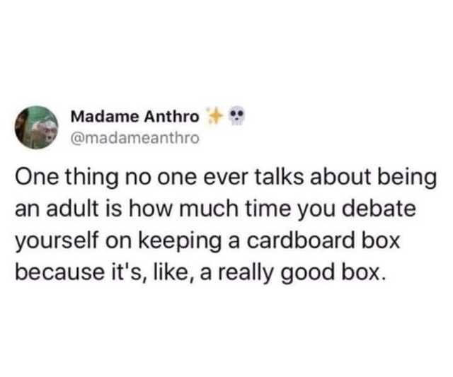 Box - Madame Anthro One thing no one ever talks about being an adult is how much time you debate yourself on keeping a cardboard box because it's, , a really good box.