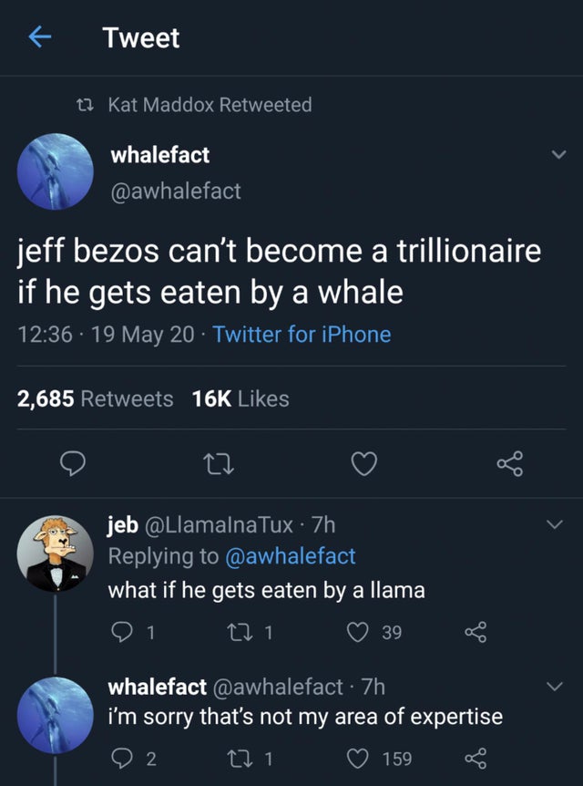 k Tweet t2 Kat Maddox Retweeted whalefact jeff bezos can't become a trillionaire if he gets eaten by a whale 19 May 20 Twitter for iPhone 2,685 16K 27 jeb Tux 7h what if he gets eaten by a llama 271 1 39 whalefact 7h i'm sorry that's not my area of…