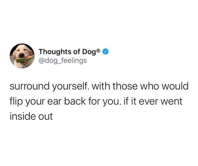 juice wrld new tweet - Thoughts of Dog surround yourself. with those who would flip your ear back for you. if it ever went inside out