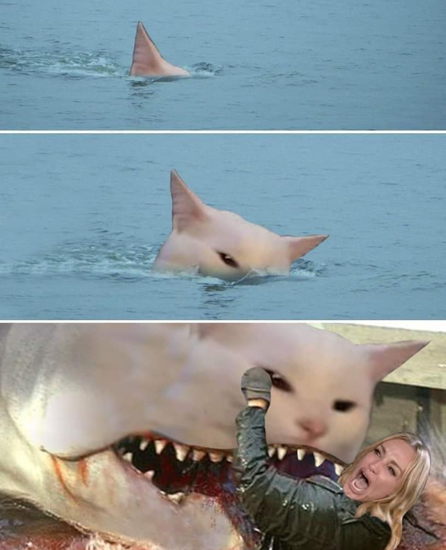 woman yelling at cat meme shark