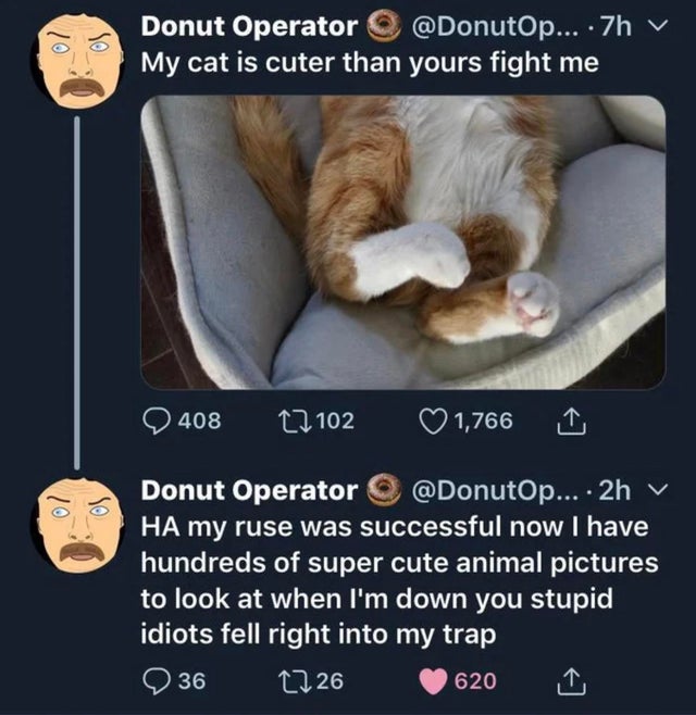 donut operator memes - lo So Donut Operator ... .7h v My cat is cuter than yours fight me 408 2 102 1,766 10 So Donut Operator ....2hV Ha my ruse was successful now I have hundreds of super cute animal pictures to look at when I'm down you stupid idiots f