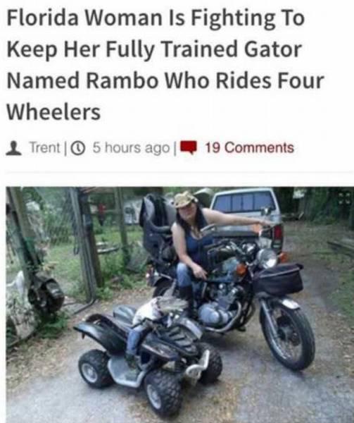 florida woman gator rambo - Florida Woman Is Fighting To Keep Her Fully Trained Gator Named Rambo Who Rides Four Wheelers Trento 5 hours ago 19