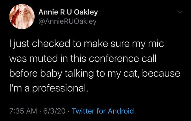 its been a blessing being home - Annie Ru Oakley I just checked to make sure my mic was muted in this conference call before baby talking to my cat, because I'm a professional. 6320 Twitter for Android