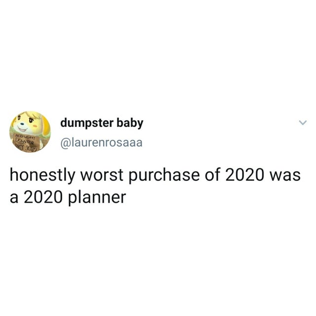 Ndurk Donor dumpster baby honestly worst purchase of 2020 was a 2020 planner