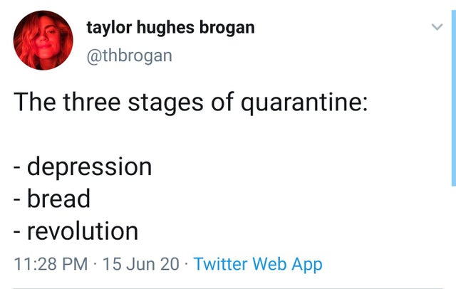 document - taylor hughes brogan The three stages of quarantine depression bread revolution 15 Jun 20 Twitter Web App