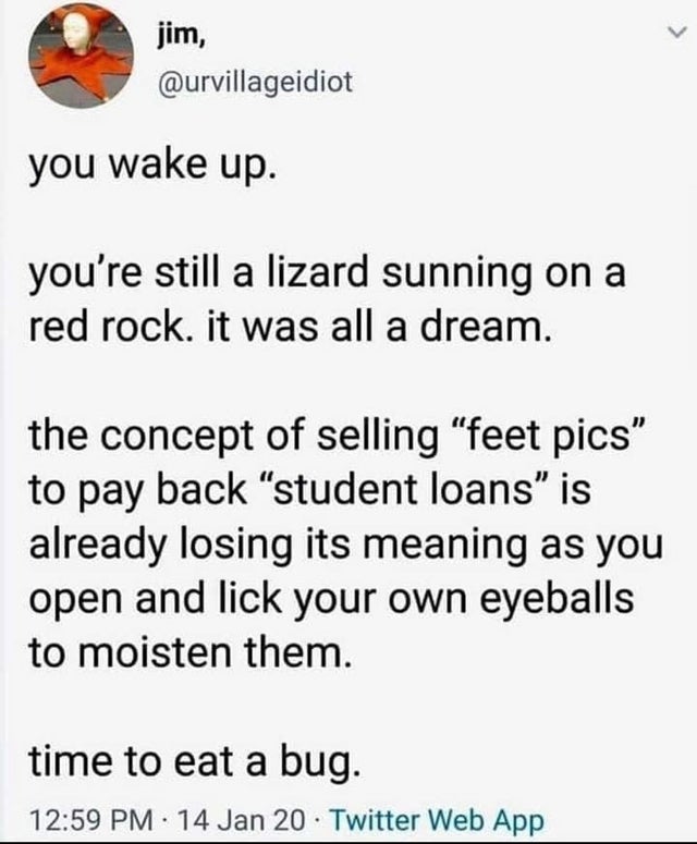 document - jim, you wake up. you're still a lizard sunning on a red rock. it was all a dream. the concept of selling "feet pics to pay back student loans" is already losing its meaning as you open and lick your own eyeballs to moisten them. time to eat a 