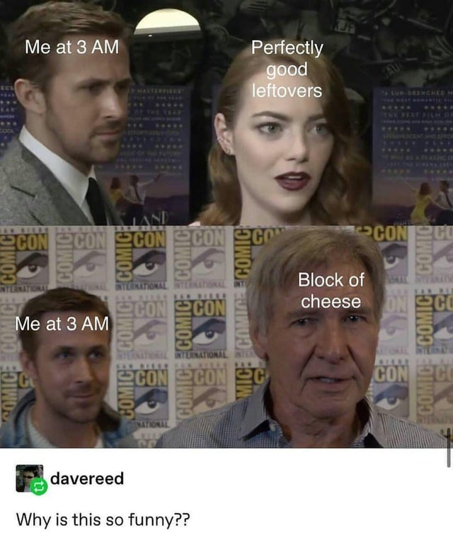 block of cheese meme - Me at 3 Am Perfectly good leftovers Con Con 2 Con Econ Com Phong Comic Scratione Block of cheese On Co Scon 2 Con Me at 3 Am Sinos Nuo Tw Rterational Comic Comic Comic Con Con C Con 20 Tional davereed Why is this so funny??