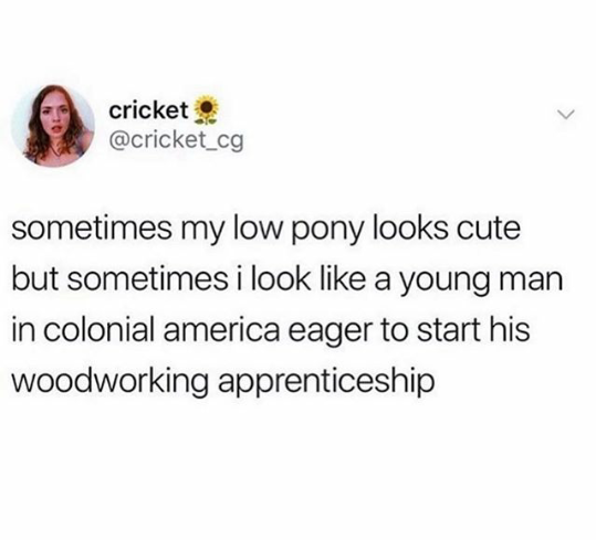Text - cricket sometimes my low pony looks cute but sometimes i look a young man in colonial america eager to start his woodworking apprenticeship