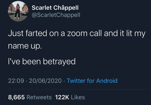 presentation - Scarlet Chppell Just farted on a zoom call and it lit my name up. I've been betrayed 20062020 Twitter for Android 8,665