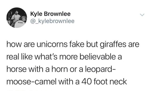 bae to blocked - > Kyle Brownlee Ta how are unicorns fake but giraffes are real what's more believable a horse with a horn or a leopard moosecamel with a 40 foot neck