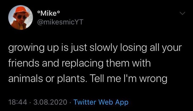 Poster - Mike growing up is just slowly losing all your friends and replacing them with animals or plants. Tell me I'm wrong . 3.08.2020 Twitter Web App