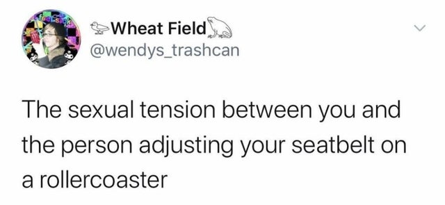 funny tweet memes 2018 - Wheat Field The sexual tension between you and the person adjusting your seatbelt on a rollercoaster
