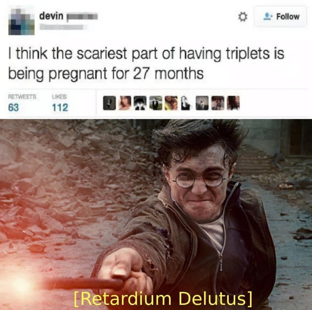 harry potter ps5 - devin I think the scariest part of having triplets is being pregnant for 27 months 63 112 Retardium Delutus