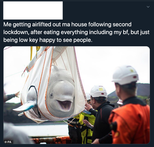 photo caption - Me getting airlifted out ma house ing second lockdown, after eating everything including my bf, but just being low key happy to see people.
