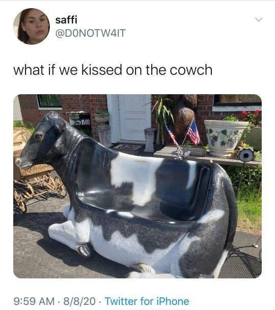 cattle - > saffi what if we kissed on the cowch 160 8820 Twitter for iPhone